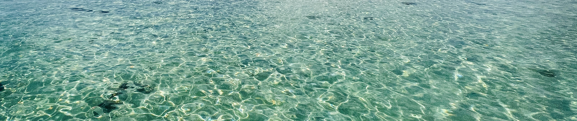 トップイメージ